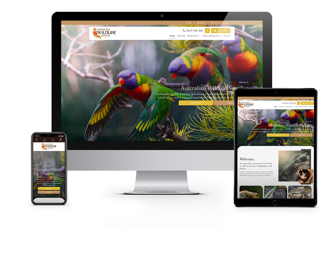Website Example 10